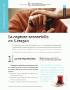 La capture sensorielle en 5 étapes